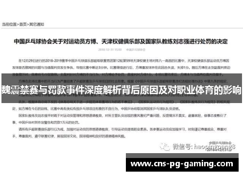 魏震禁赛与罚款事件深度解析背后原因及对职业体育的影响