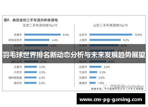 羽毛球世界排名新动态分析与未来发展趋势展望