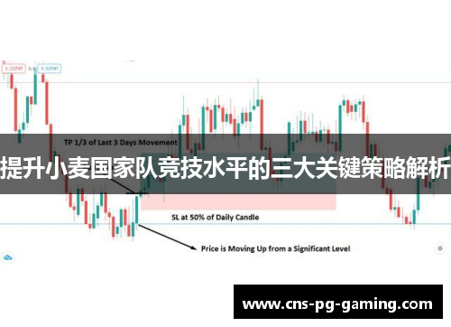 提升小麦国家队竞技水平的三大关键策略解析